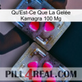 What Is Kamagra Jelly 100Mg 15